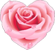 flower10