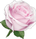 flower9